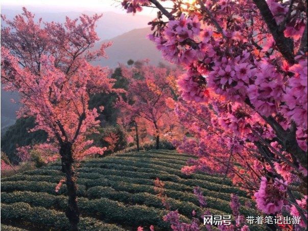 云南大理bwin体育旅游攻略有哪些？景点、交通、美食、住宿一个攻略全搞定！(图2)