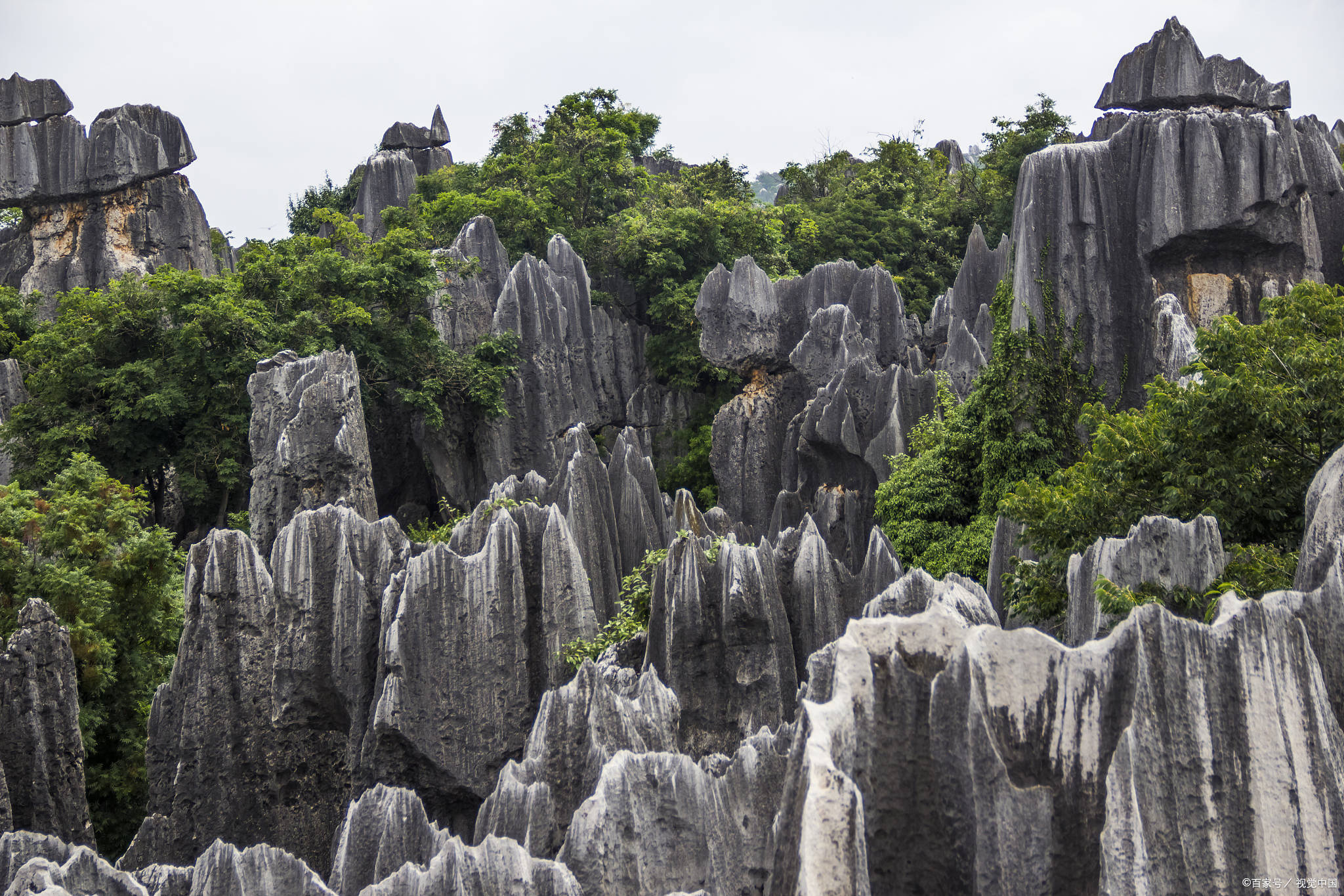 bwin体育云南的旅游景点有哪些地方云南七天6晚自由行行程推荐(图1)