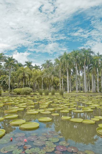 4月中旬西双版纳旅游西双版纳旅游六日游报价bwin体育(图3)